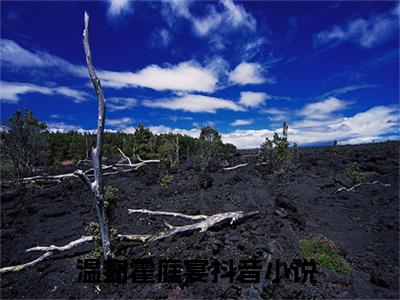 温窈霍庭宴全文免费阅读无弹窗大结局,温窈霍庭宴完整版在线阅读