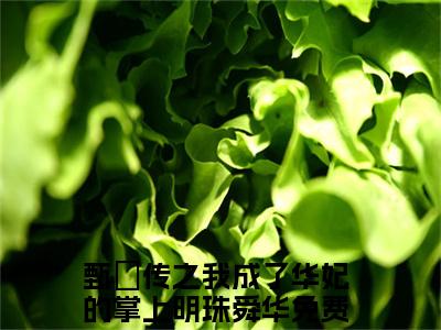 甄嬛传之我成了华妃的掌上明珠舜华全文免费阅读无弹窗大结局_(甄嬛传之我成了华妃的掌上明珠舜华)最新章节列表笔趣阁（甄嬛传之我成了华妃的掌上明珠舜华）