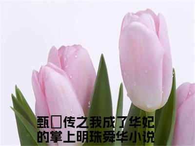 甄嬛传之我成了华妃的掌上明珠舜华（甄嬛传之我成了华妃的掌上明珠舜华）全文免费阅读大结局-甄嬛传之我成了华妃的掌上明珠舜华小说全文免费阅读最新章节列表