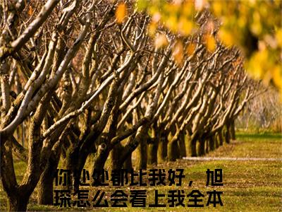 安宁穆旭琛（你处处都比我好，旭琛怎么会看上我小说）全文免费阅读无弹窗大结局_你处处都比我好，旭琛怎么会看上我小说免费阅读-笔趣阁