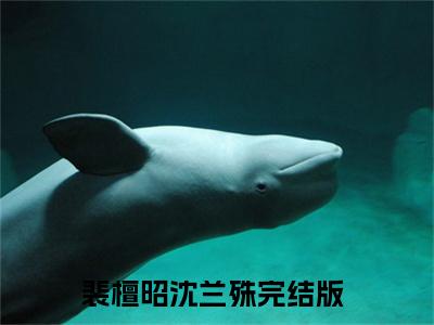 裴檀昭沈兰殊完本小说全集阅读-（裴檀昭沈兰殊）主角的小说是什么名字