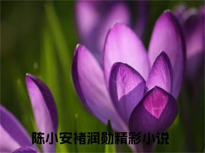 陈小安褚润勋（陈小安褚润勋）全文免费阅读无弹窗大结局_陈小安褚润勋在线阅读（陈小安褚润勋）
