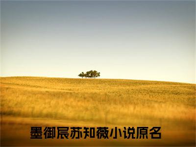 墨御宸苏知薇（墨御宸苏知薇小说）全文免费阅读无弹窗大结局_(墨御宸苏知薇小说免费阅读全文大结局)最新章节列表_笔趣阁（墨御宸苏知薇）