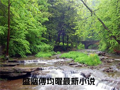 盛烟傅均曜（盛烟傅均曜无弹窗）全文免费阅读_（盛烟傅均曜）盛烟傅均曜最新章节列表_笔趣阁（盛烟傅均曜）