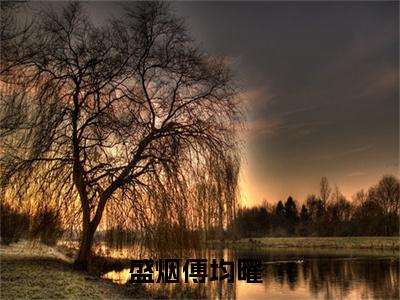 盛烟傅均曜最新章节（盛烟傅均曜）全文免费阅读无弹窗大结局_盛烟傅均曜免费阅读（盛烟傅均曜）