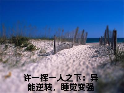 许一挥（一人之下：异能逆转，睡觉变强）全文免费阅读无弹窗-一人之下：异能逆转，睡觉变强小说完整版在线阅读