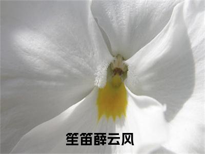 是你亲手判我入轮回小说讲的是什么-笙笛薛云风精彩章节目录观看