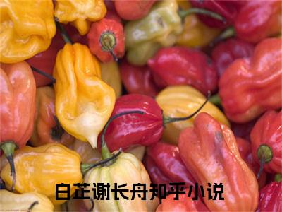 做我的妻子，你不配！（白芷谢长舟）笔趣阁免费小说全文完整版-白芷谢长舟无弹窗免费阅读