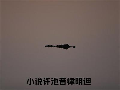 许池音律明迪（许池音律明迪）全文免费阅读无弹窗大结局_(许池音律明迪小说免费阅读)_笔趣阁