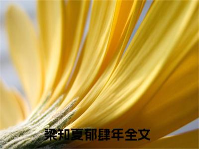 我后悔了，我们可以离婚了全文（梁知夏郁肆年）全文免费阅读无弹窗大结局_我后悔了，我们可以离婚了全文最新章节列表_笔趣阁（梁知夏郁肆年）