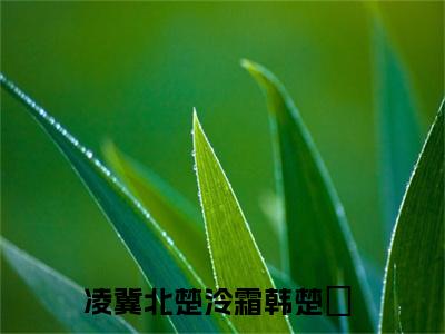小说凌冀北楚泠霜韩楚玥免费阅读-（此生我哪怕纳妾，也绝不会考虑你）凌冀北楚泠霜韩楚玥最新章节小说阅读-笔趣阁