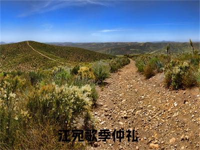 江宛歌季仲礼小说免费阅读无弹窗,小说名字是：江宛歌季仲礼的小说在线阅读无删减