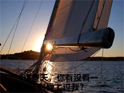 林竟轩素婧雅（这些天，你有没有一刻爱上过我？最新章节）在线阅读-免费小说林竟轩素婧雅全文阅读