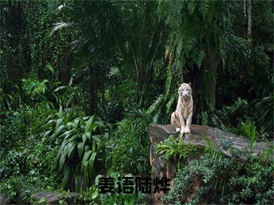 姜语陆烨小说全文免费阅读无弹窗大结局_（姜语陆烨免费阅读无弹窗）最新章节列表_笔趣阁