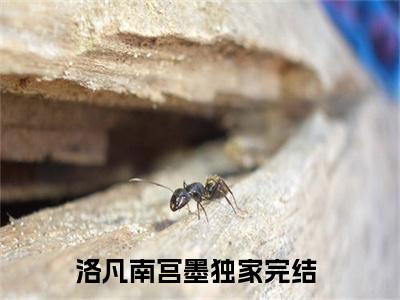 洛凡南宫墨（洛凡南宫墨）全文免费阅读无弹窗大结局_洛凡南宫墨全文免费完结版阅读（洛凡南宫墨）