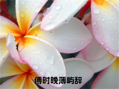 傅时晚薄屿辞小说大结局免费阅读-（傅时晚薄屿辞）抖音新上热文分享傅时晚薄屿辞