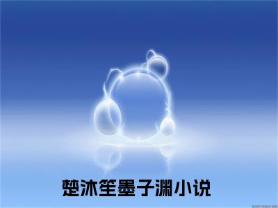 楚沐笙墨子渊免费阅读无弹窗 楚沐笙墨子渊最新章节