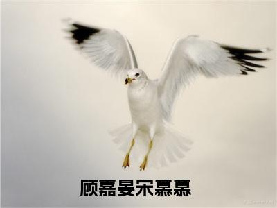 顾嘉晏宋慕慕爽文免费阅读完整版-顾嘉晏宋慕慕阅读大结局顾嘉晏宋慕慕