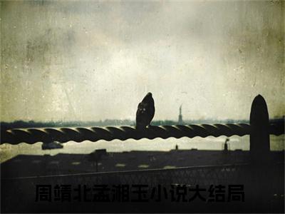 周靖北孟湘玉免费阅读结局周靖北孟湘玉无弹窗全本免费阅读
