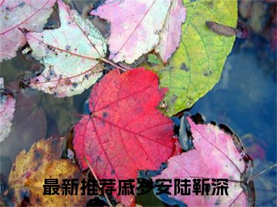 戚岁安陆靳深小说(戚岁安陆靳深)全文免费阅读无弹窗大结局_戚岁安陆靳深小说免费阅读无弹窗最新章节列表_笔趣阁