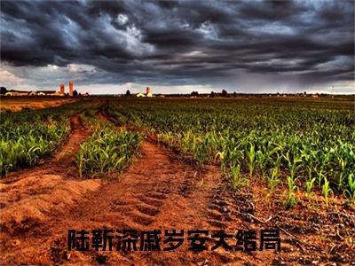 陆靳深戚岁安美文欣赏完整版 陆靳深戚岁安免费全本小说
