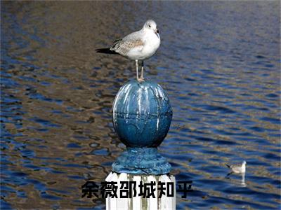 余薇邵城（余薇邵城）全文免费阅读无弹窗大结局_(余薇邵城免费阅读)最新章节列表_笔趣阁