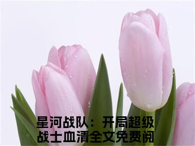 星河战队：开局超级战士血清小说全文（周元）全文免费阅读无弹窗大结局_周元小说免费最新章节列表_笔趣阁（星河战队：开局超级战士血清）