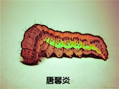 唐馨炎小说无弹窗（爽爆！杀疯！嫡女千金成皇室团宠）全文免费阅读无弹窗大结局_(爽爆！杀疯！嫡女千金成皇室团宠）爽爆！杀疯！嫡女千金成皇室团宠最新章节列表_笔趣阁（唐馨炎）