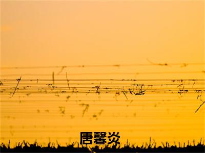 唐馨炎小说（爽爆！杀疯！嫡女千金成皇室团宠）免费阅读_唐馨炎小说免费阅读-笔趣阁