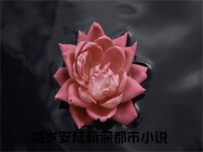 戚岁安陆靳深（戚岁安陆靳深）全集免费阅读无弹窗_(戚岁安陆靳深小说免费阅读)_笔趣阁
