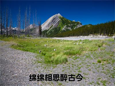 绵绵相思醉古今抖音完结版阅读《林若尔江辰希》最新章节目录好书推荐_(绵绵相思醉古今)