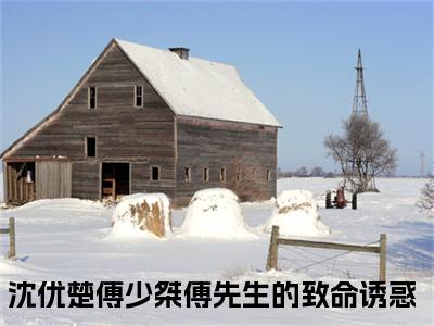 小说傅先生的致命诱惑全文免费阅读无弹窗大结局-傅先生的致命诱惑沈优楚傅少桀在线阅读最新章节列表_笔趣阁