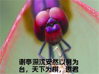 以身为台，天下为棋，邀君共赴（谢亭深沈安然）完整版小说阅读-以身为台，天下为棋，邀君共赴小说（谢亭深沈安然）精彩免费试读