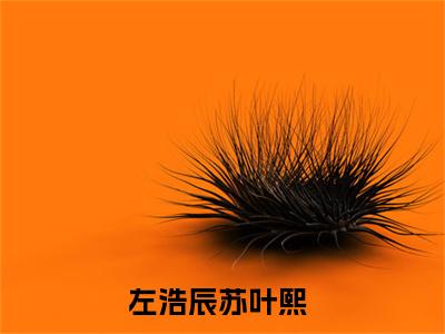 左浩辰苏叶熙全文免费阅读无弹窗大结局-左浩辰苏叶熙在线阅读