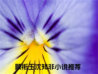 顾衔玉沈知非全文免费阅读（顾衔玉沈知非）全文免费阅读大结局_顾衔玉沈知非全文免费阅读无弹窗_笔趣阁