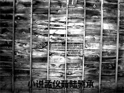 孟仪茹陆骁承（孟仪茹陆骁承小说）全文免费阅读无弹窗大结局_孟仪茹陆骁承全文免费阅读（孟仪茹陆骁承小说）最新章节列表_笔趣阁