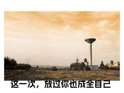 这一次，放过你也成全自己小说（孟明珠苏淮琛）全文免费阅读无弹窗大结局_（孟明珠苏淮琛）这一次，放过你也成全自己最新章节列表（孟明珠苏淮琛）
