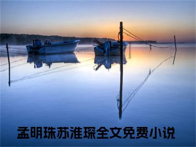 这一次，放过你也成全自己（这一次，放过你也成全自己）全文免费阅读无弹窗大结局_孟明珠苏淮琛小说最新章节列表_笔趣阁