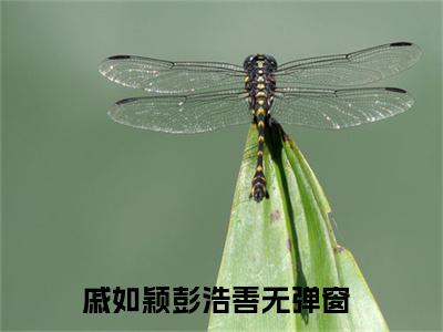 戚如颖彭浩善（戚如颖彭浩善）小说全文免费阅读无弹窗大结局_戚如颖彭浩善最新章节列表笔趣阁（戚如颖彭浩善）
