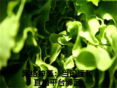 网络神豪：当国运和直播平台绑定（陈太虚）全文免费阅读_陈太虚全文阅读_笔趣阁