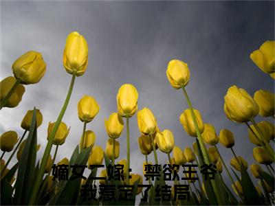 嫡女二嫁：禁欲王爷我惹定了（褚阮云淮之）全文免费阅读无弹窗大结局_（褚阮云淮之无弹窗）最新章节免费阅读_笔趣阁（嫡女二嫁：禁欲王爷我惹定了）