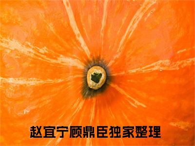 赵宜宁顾鼎臣热门小说在哪免费看-小说王爷别虐了，花魁她已有夫君了（赵宜宁顾鼎臣）完整版全文在线赏析