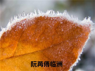 阮苒傅临洲首发小说-阮苒傅临洲(阮苒傅临洲)无删减版全文在线