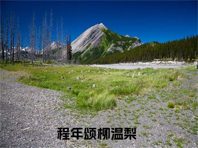 程年颂柳温梨全文免费阅读_（程年颂柳温梨免费阅读无弹窗）程年颂柳温梨最新章节列表笔趣阁（程年颂柳温梨）