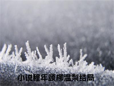 程年颂柳温梨(程年颂柳温梨)全文免费阅读无弹窗大结局_(程年颂柳温梨)最新章节