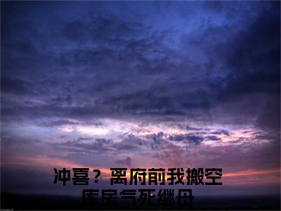 司槿星齐墨离（冲喜？离府前我搬空库房气死继母）全文免费阅读无弹窗大结局_ 司槿星齐墨离最新章节列表_笔趣阁