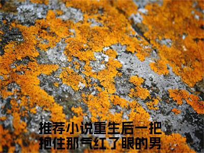 陆离贺斯年（重生后一把抱住那气红了眼的男孩）老书虫2023良心推荐小说-陆离贺斯年（重生后一把抱住那气红了眼的男孩）小说精彩免费试读