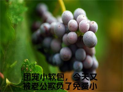 傅清宴初洛洛（团宠小软包，今天又被老公欺负了）全文免费阅读无弹窗大结局-团宠小软包，今天又被老公欺负了(傅清宴初洛洛)小说全文免费阅读最新章节列表
