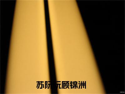 苏阮阮顾锦洲高质量小说推荐阅读-苏阮阮顾锦洲（苏阮阮顾锦洲）小说最新章节