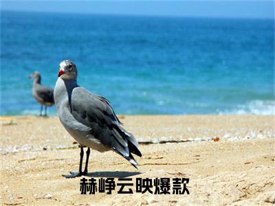 赫峥云映小说全文免费阅读无弹窗,（赫峥云映）小说全文免费阅读